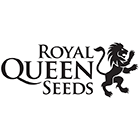 wyjątkowe nasiona konopi producenta royal queen seeds