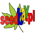 sprawdzone kolekcje nasion cannabis naszej marki seedbay
