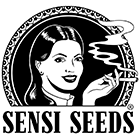 nasiona producenta sensi seeds