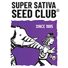 nasiona producenta super sativa seed club