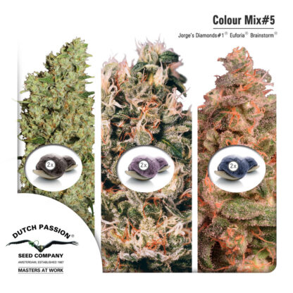 Colour Mix5 - Dutch Passion, Nasiona Marihuany, Konopi, Cannabis