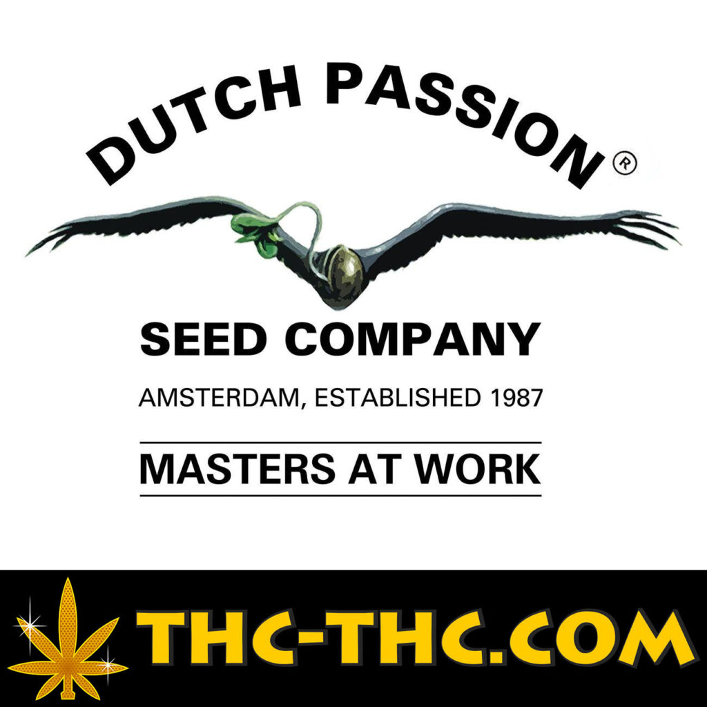 oficjalny dystrybutor nasion producenta dutch passion