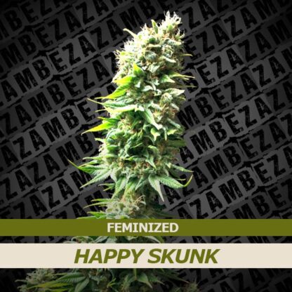 Happy Skunk Feminizowane, Nasiona Marihuany, Konopi, Cannabis