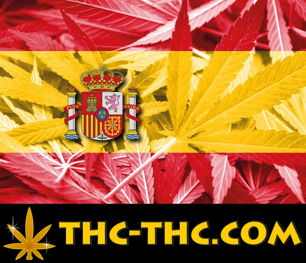 legalność marihuany w Hiszpanii, uprawa i jej posiadanie oraz sprzedaż