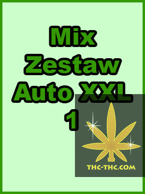 Mix Zestaw Auto XXL 1, Nasiona Marihuany, Konopi, Cannabis