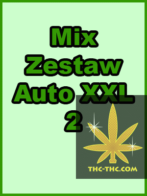 Mix Zestaw Auto XXL 2, Nasiona Marihuany, Konopi, Cannabis