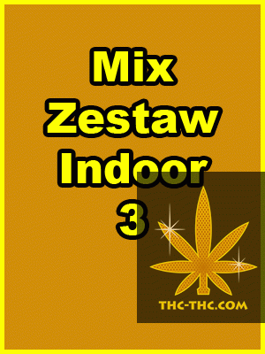 Mix Zestaw Indoor 3, Nasiona Marihuany, Konopi, Cannabis