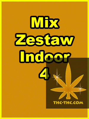 Mix Zestaw Indoor 4, Nasiona Marihuany, Konopi, Cannabis