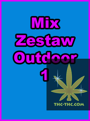 Mix Zestaw Outdoor 1, Nasiona Marihuany, Konopi, Cannabis