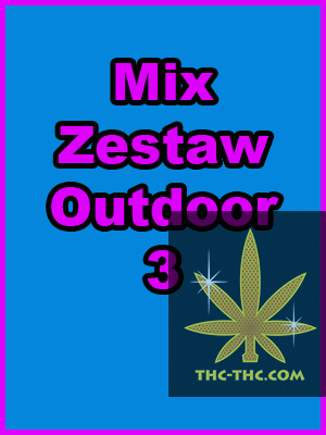 Mix Zestaw Outdoor 3, Nasiona Marihuany, Konopi, Cannabis