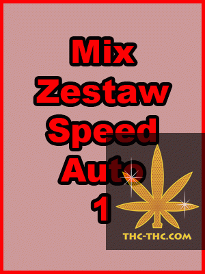 Mix Zestaw Speed Auto 1, Nasiona Marihuany, Konopi, Cannabis