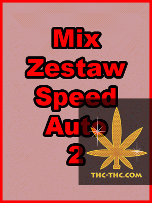 Mix Zestaw Speed Auto 2, Nasiona Marihuany, Konopi, Cannabis