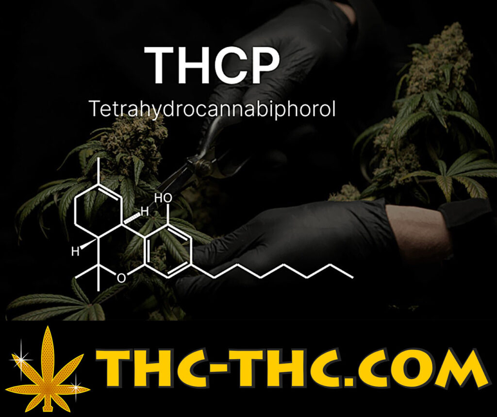 co to jest thcp, zwane tetrahydrokannabiporol