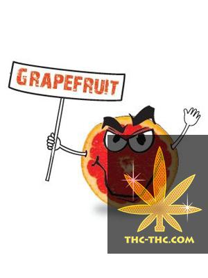 Tytoń do Fajki Wodnej 5pipes Grapefruit, Produkt, Sklep