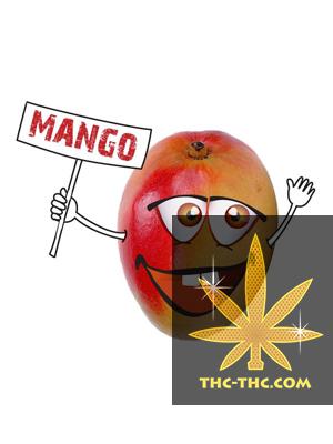 Tytoń do Fajki Wodnej 5pipes Mango, Produkt, Sklep